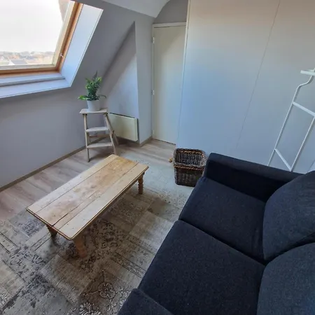 Апартаменты Very Large Duplex 4-bedroom Less Than 5 Minutes From The Sea! T46 Остенде