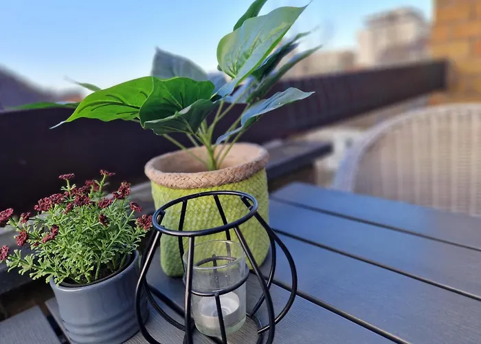 Very Large Duplex 4-bedroom Less Than 5 Minutes From The Sea! T46 Ostend