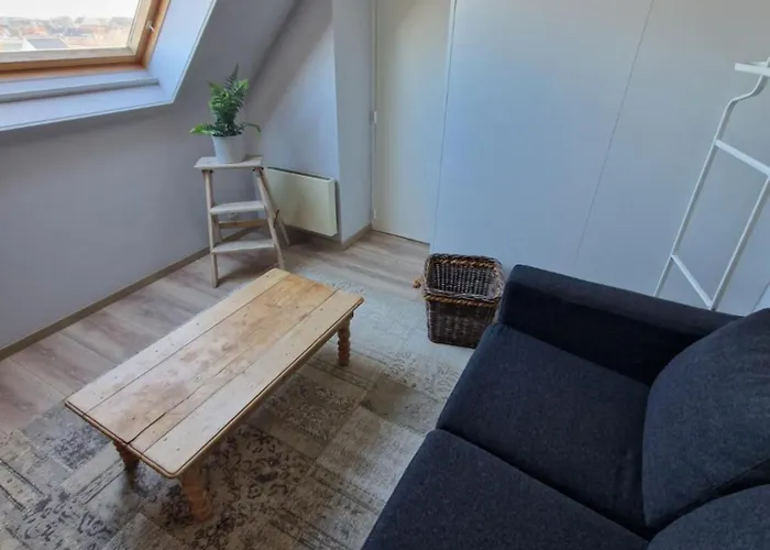 Apartment Very Large Duplex 4-bedroom Less Than 5 Minutes From The Sea! T46 Ostend